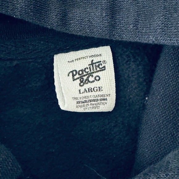 Black Destin Florida Hoodie with Blue Turtle Design - Picture 7 of 8